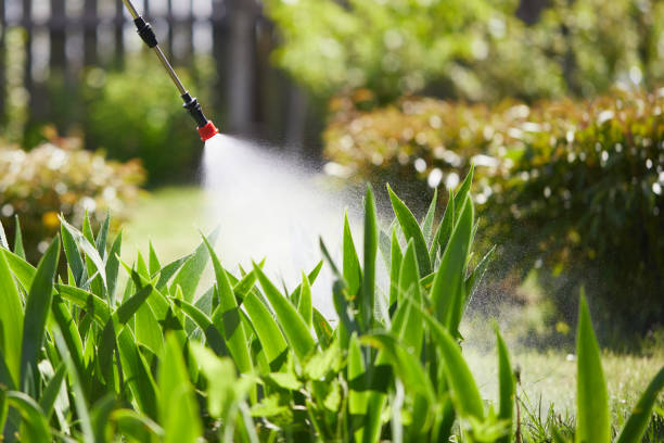 24/7 Emergency Mosquito Control experts in Reinholds, PA